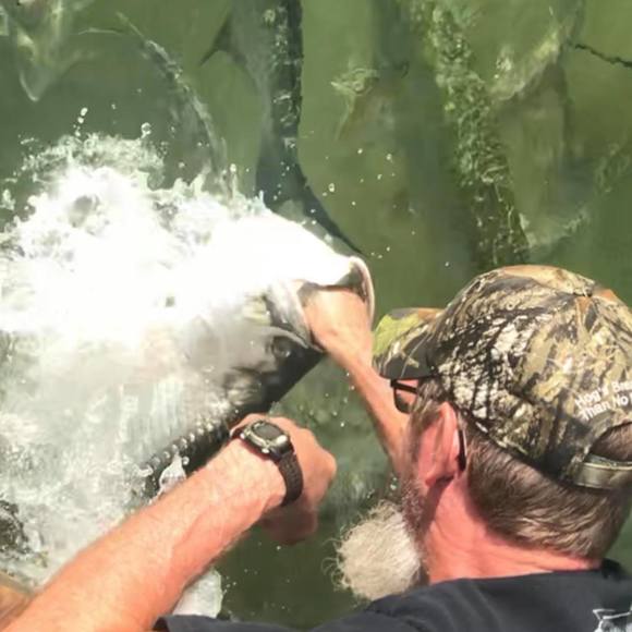 Meet your Posher, Kevin - Picture 1 of 1